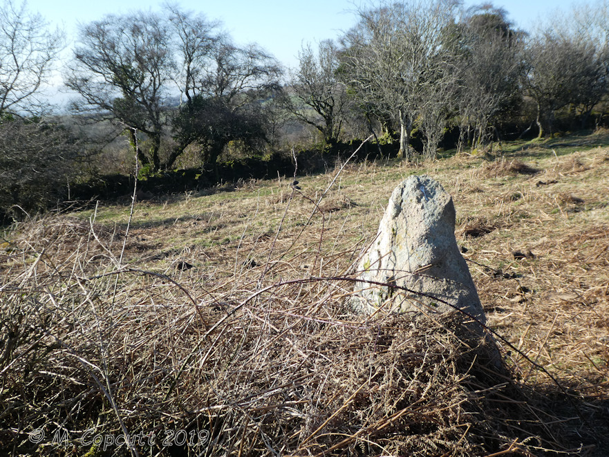 Butterdon Down West