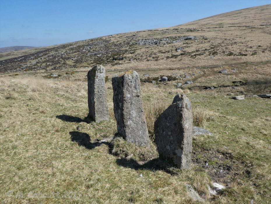 The row looking east