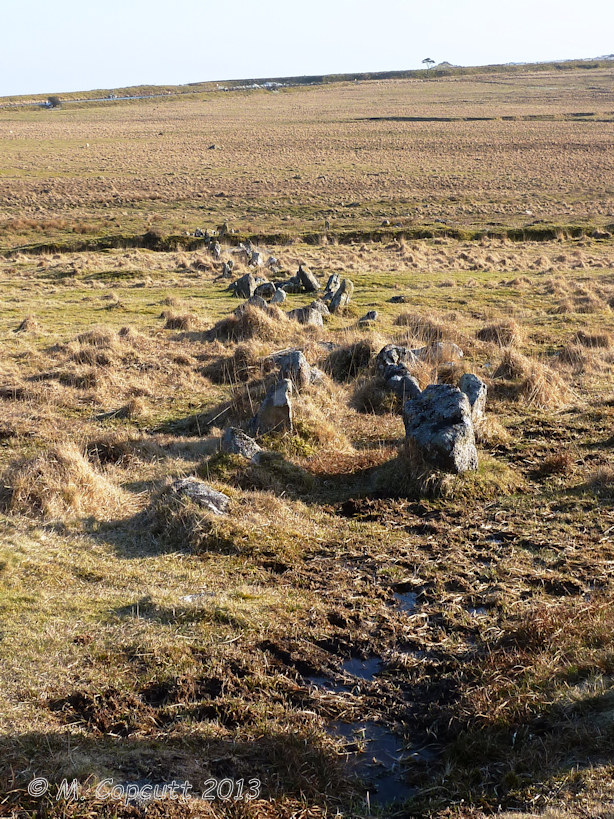 Seen looking south, the Trowlesworthy East stone row runs down across the hillside from The Pulpit circle.