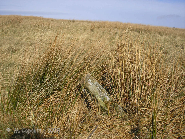 Woodbarrow Stone Setting
