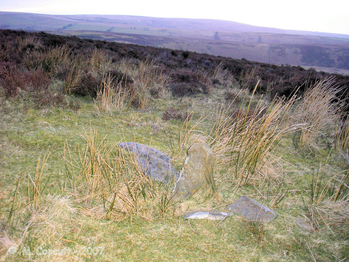 The northern stone of Pig Hill (N) stone setting seen here in its position within the Exmoor landscape looking west. 

I believe that the two bits of stone this side of the standing stone have been broken from it, while the slab on the far side was once another stone of this stone setting which has been moved and placed there from its original position elsewhere. 

