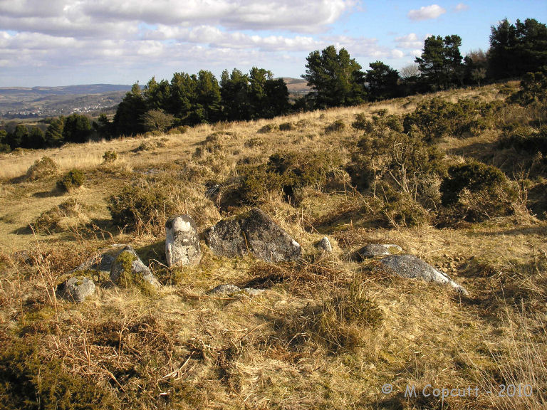 Gidleigh Chambered Cairn