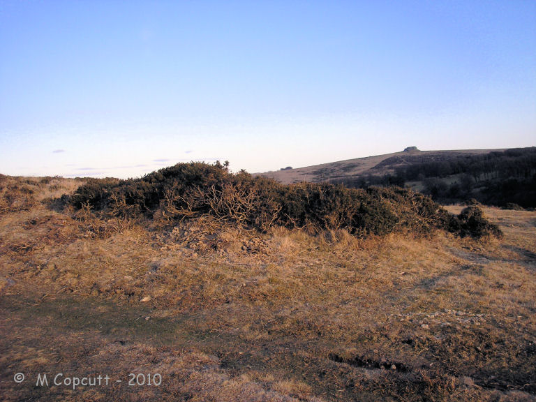 Scorhill Cairn and Rows