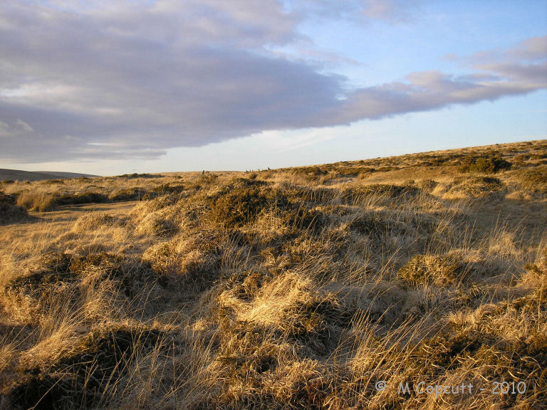Scorhill Cairn and Rows