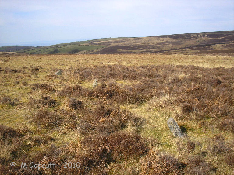 Cheriton Ridge 2