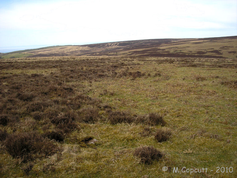 Cheriton Ridge stone row
