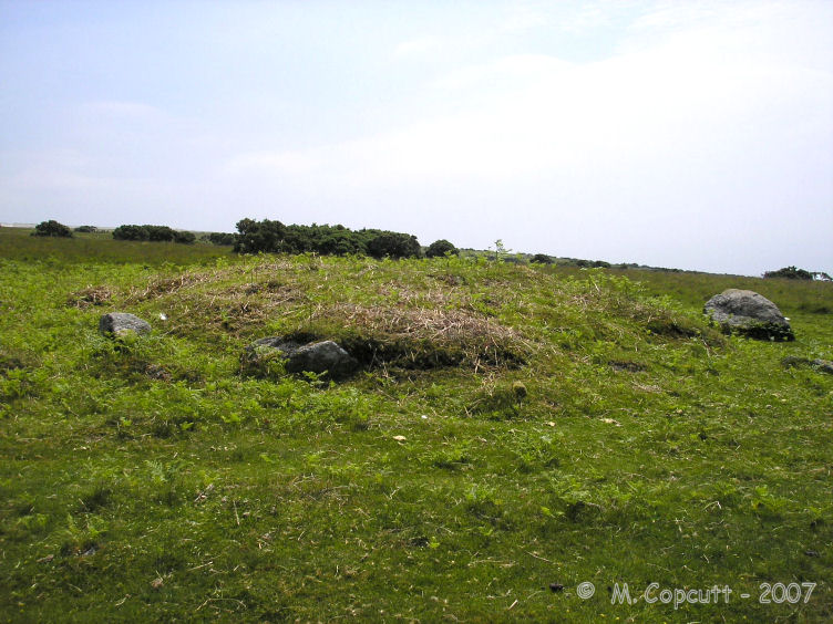 Shaugh Moor Cairns (PID:41125) Shaugh Moor Cairns
