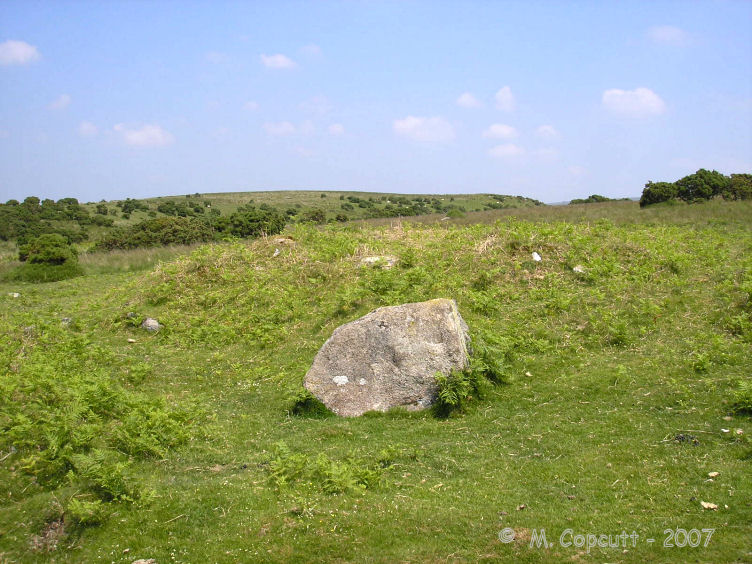 Click for full size image of Shaugh Moor Cairns (PID:41124) Shaugh Moor Cairns