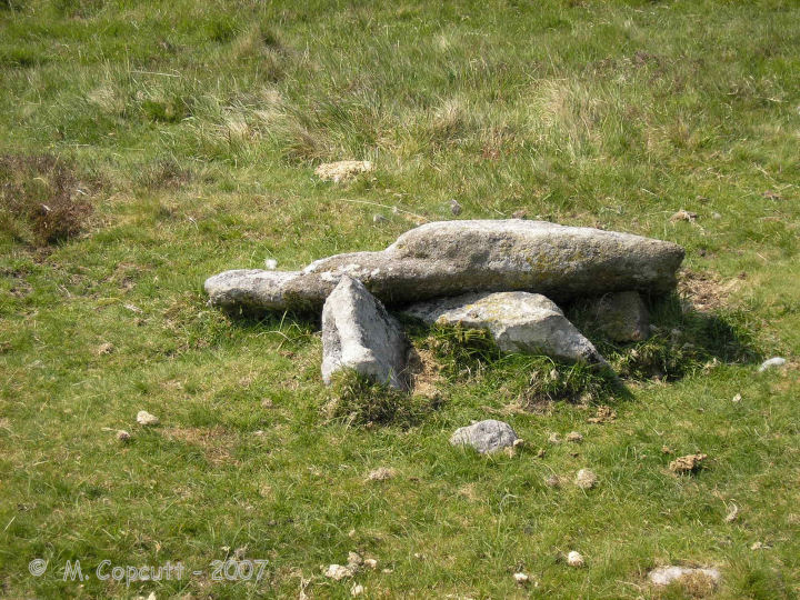 Click for the gallery page to add comments and vote (PID:36857) Drizzlecombe Cist 6