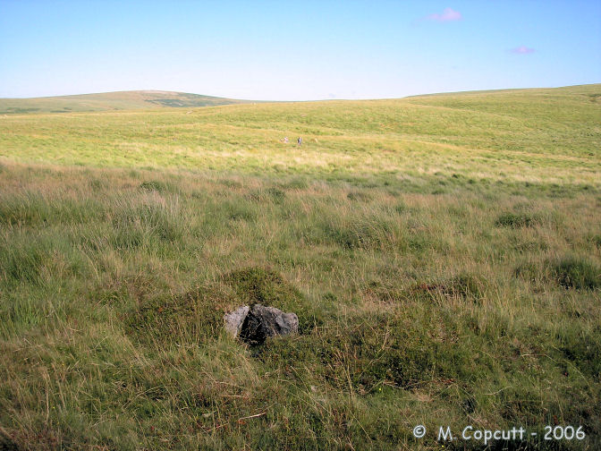 Ranny Brookhead Cist