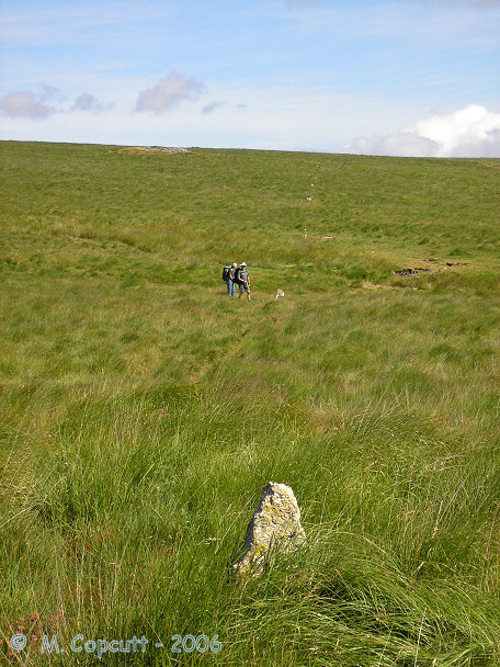 The row runs northwards from the Kiss-in-the-Ring stone circle, with the stones generally about half a metre tall above the modern turf, and spaced at intervals of about 1.5 to 2 metres. 

The grass around these stones is in July very long, and many of the stones are very difficult to see, but the path of the row is clearly seen by the darker shade of the grass surrounding them, and also for the