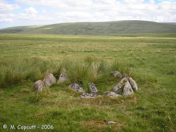 Royal Hill Cairn 5

This is a cute little thing with a complete stone ring around a central cist, but there is little remaining in the way of a cairn.

The surrounding kerbstones have a diameter of only about 3 metres, but all stand proud of the ground.