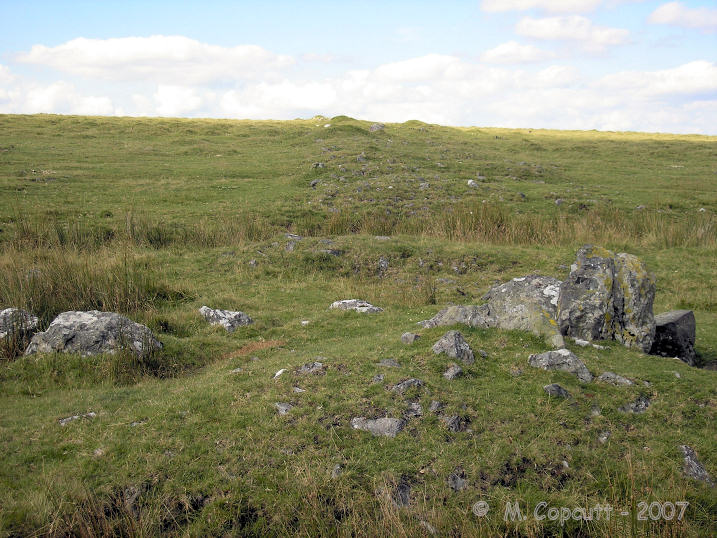 Click for the gallery page to add comments and vote (PID:33268) Langstone Moor row 2