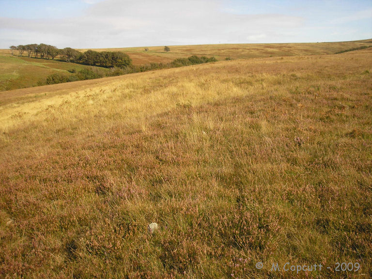 Warcombe Water row