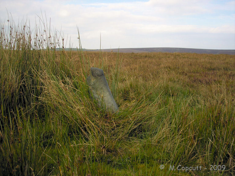 Supposedly a stone setting of three stones, I found one stone standing just over a foot high surrounded by couch grass.