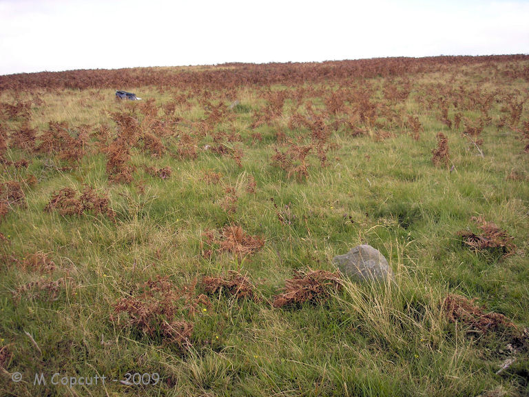 On the western slopes of Furzehill Common ridge, I first found a large boulder like stone, and with some further searching around, I found a sort of line of stones running down the side of the hill. 
I found two stones high up the slope which are spaced at about 10 metres from each other, (the uppermost fallen), and two more further down the slope, one of which is a nice stander. 