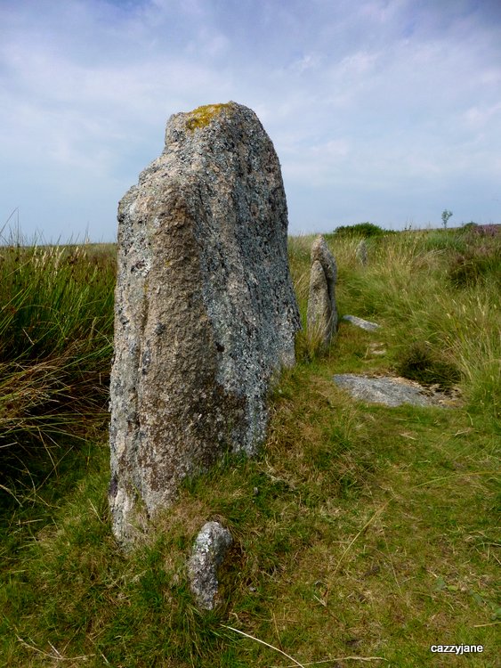 The double stone row on Laughter Tor.