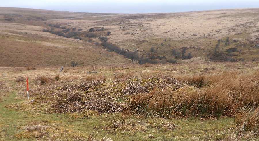 Holne Ridge NE