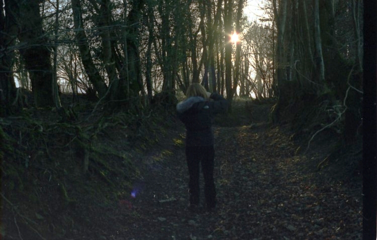 Inside substantial ditch; midwinter sunshine.