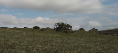 Click for the gallery page to add comments and vote (PID:90919) Butterdon Hill Long Cairn