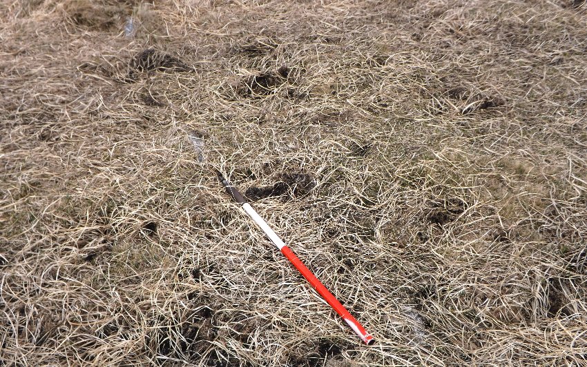 Shovel Down row 1