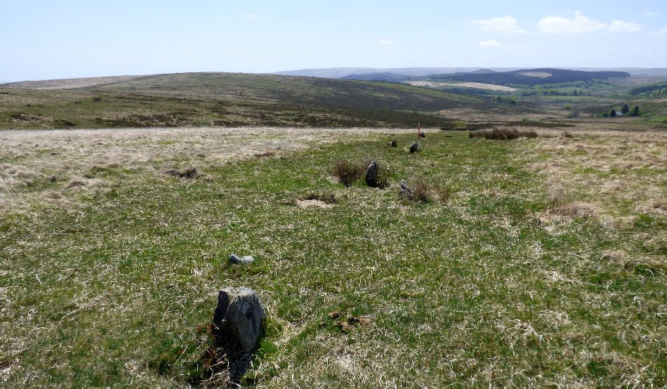 White Ridge stone row