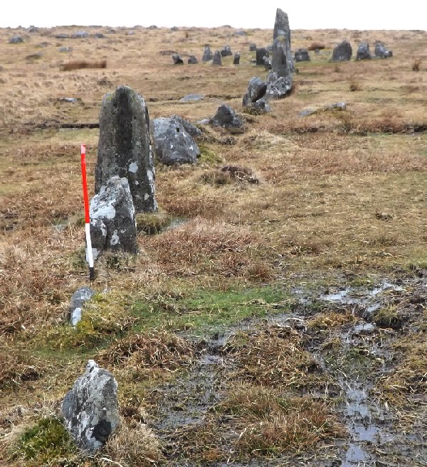 Down Tor stone row