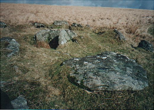 Deadman's Bottom Cists (PID:12596) Deadman's Bottom Cists