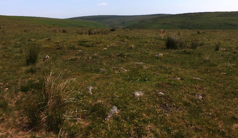 Black Tor SW