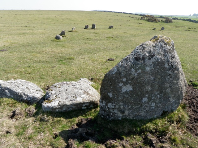 SX 639 731, Sherberton circle. The big rock in the foreground was probably not in the circle itself. This circle lays inside a farmers field with a stone wall run through the middle of the circle, with the east side of the circle completely missing. Work of the de-spoilers or farmers building walls ? hard to say. Look at the gate posts as you walk in to the field !!!!