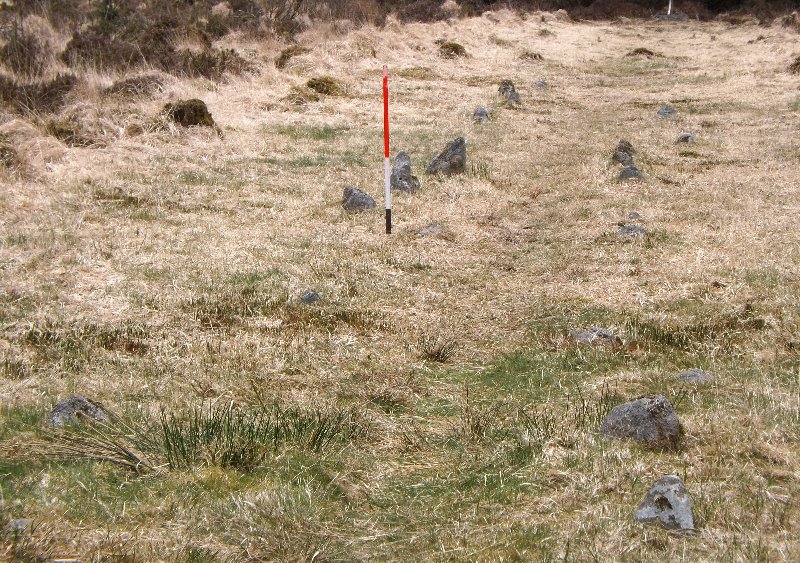 Fernworthy stone row N