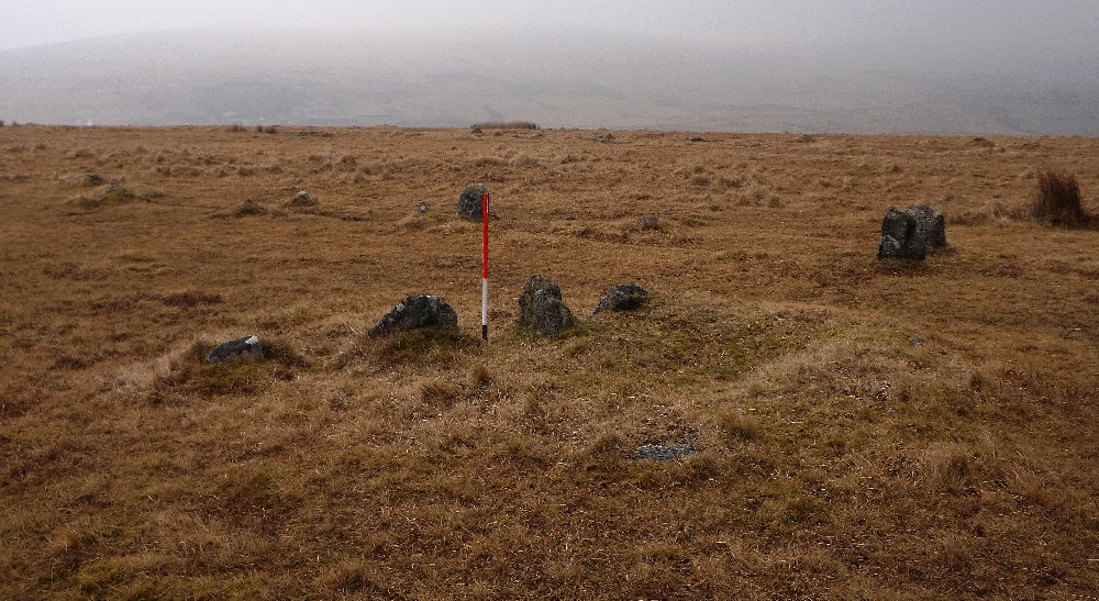 Stone row 3 leading from this cairn. Southern row in the background. The cairn partly overlies row 3 indicating that it is more recent. View from south (24th March 2013).