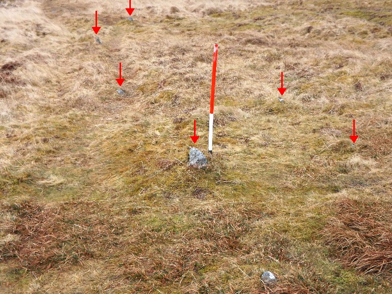 Holne Moor