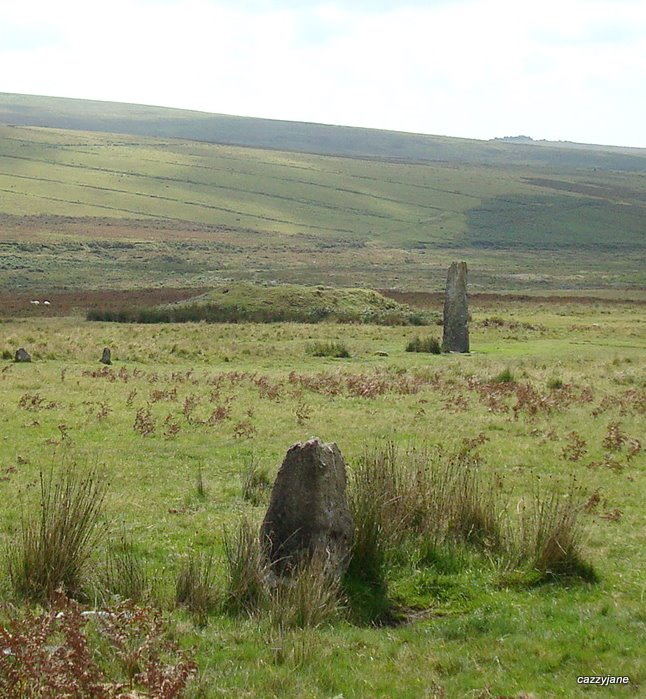 Drizzlecombe Giant's Basin