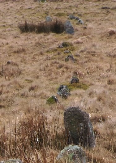 Glasscombe Corner Stone Row