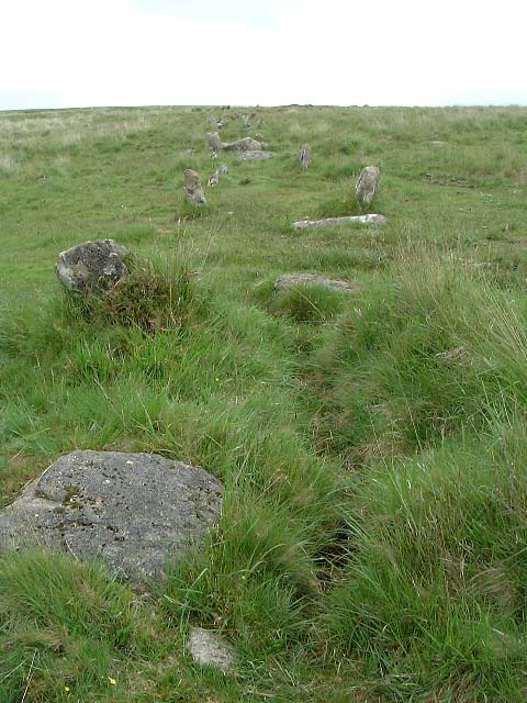 Hart Tor north rows