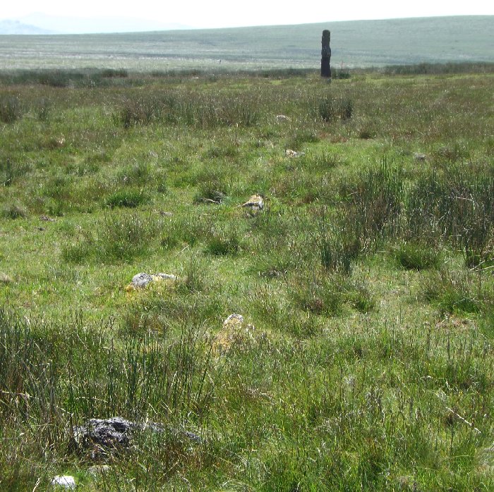 Langstone Moor stone row