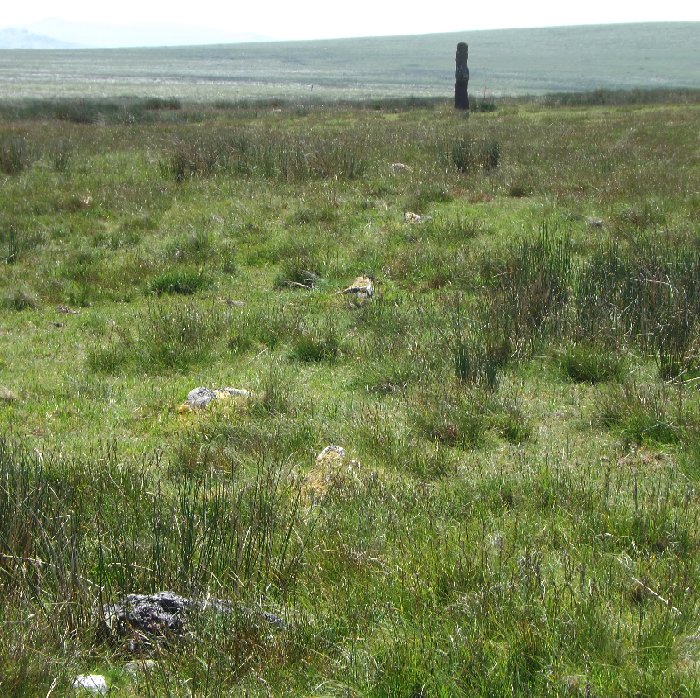 A sinuous line of small stones heading straight for the impressive terminal stone. View from north.