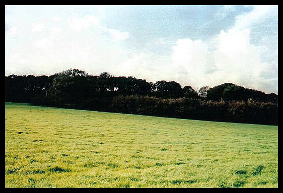 Seaton Down Camp