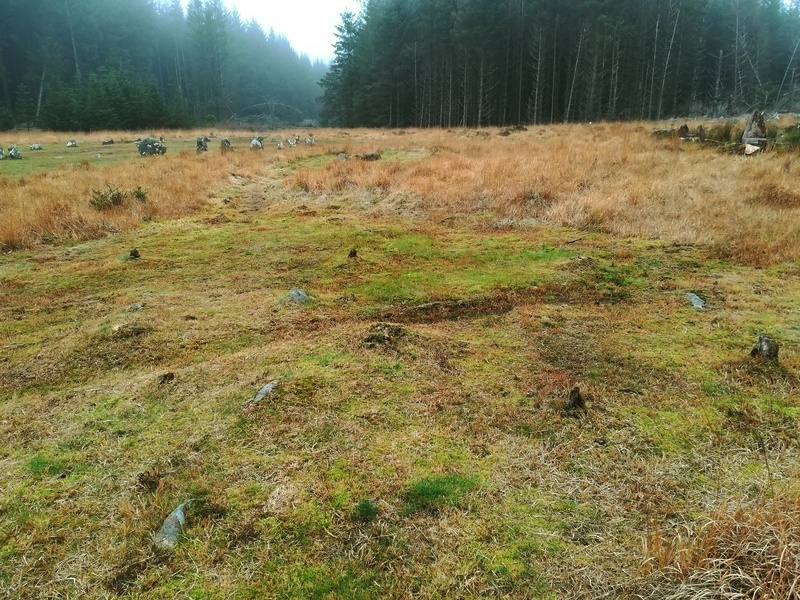 Click for full size image of Fernworthy stone row SE (PID:223118) Fernworthy stone row SE