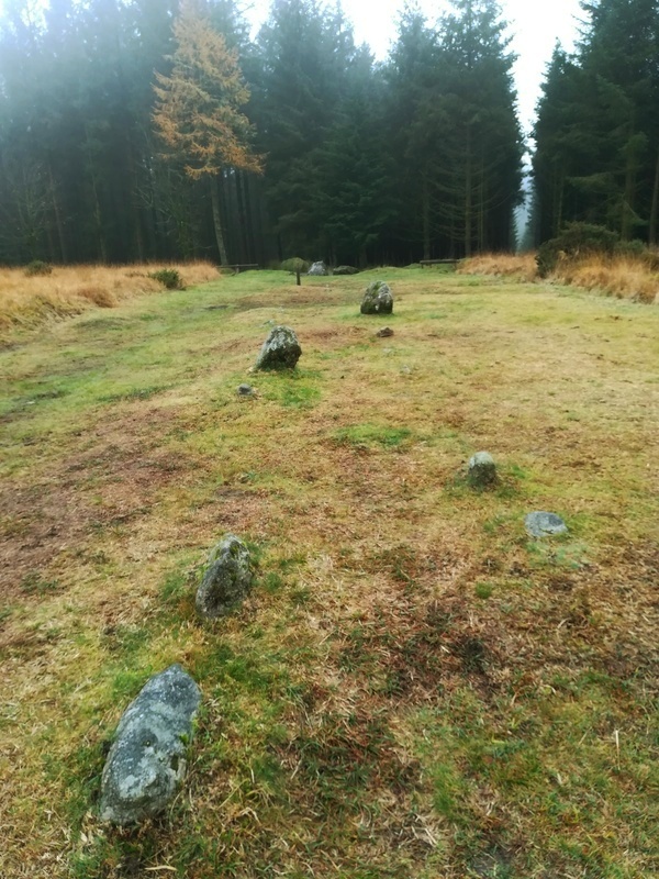 Click for full size image of Fernworthy stone row SW (PID:223144) Fernworthy stone row SW