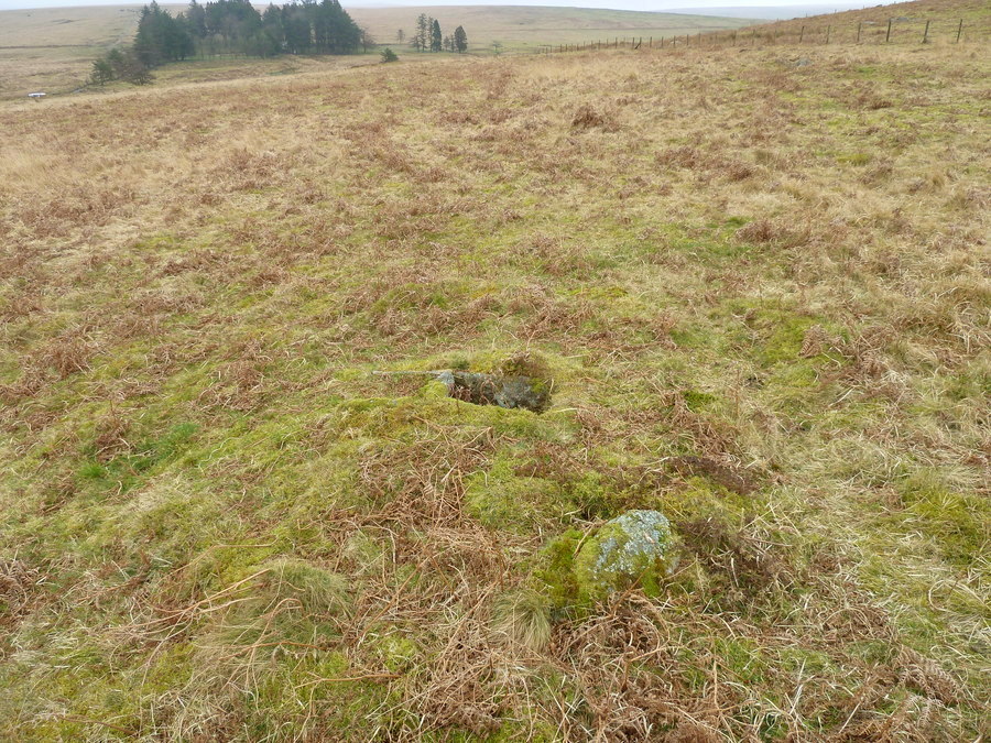 Gutter Tor north