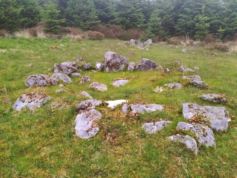 Click for full size image of Fernworthy settlement (PID:230358) Fernworthy settlement