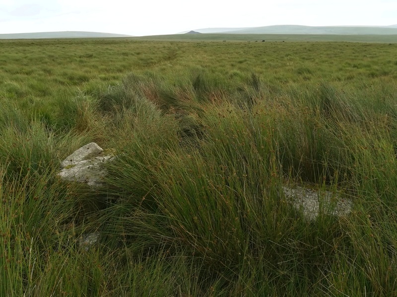 Click for full size image of Green Hill - Stall Moor (PID:236004) Green Hill - Stall Moor