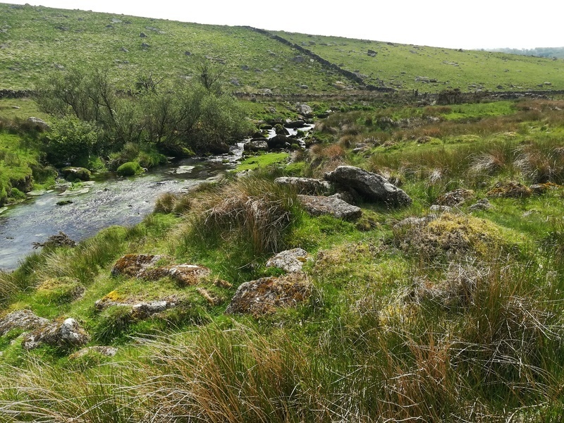 Click for full size image of Blackabrook (PID:230458) Blackabrook