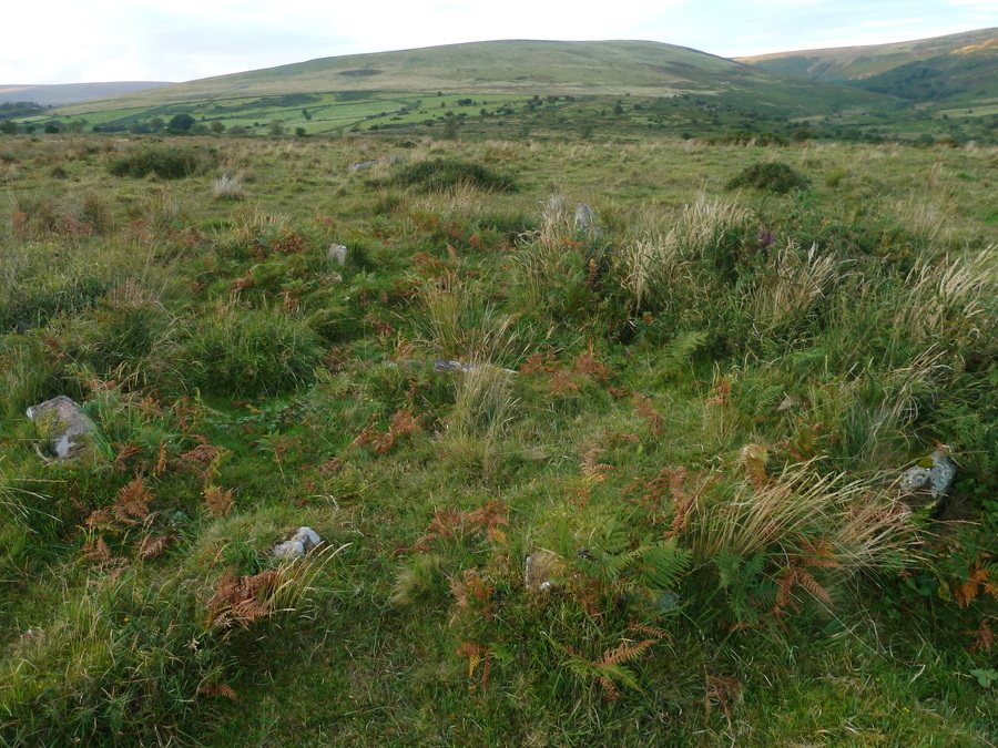Click for full size image of Burford Down (Tristis Rock) (PID:174982) Burford Down (Tristis Rock)