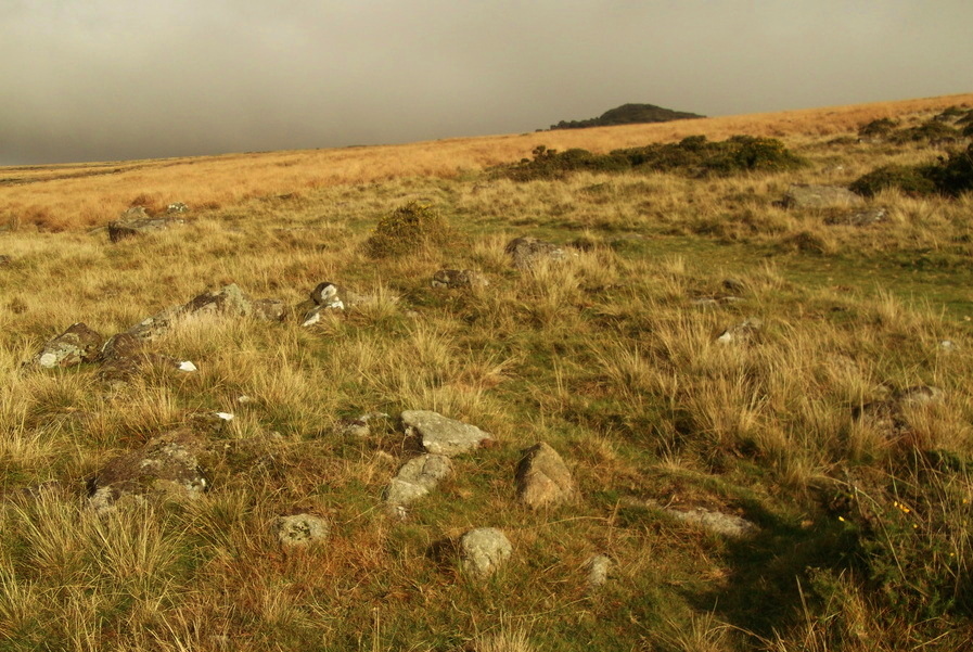 Click for the gallery page to add comments and vote (PID:144586) Wistman's wood Settlement