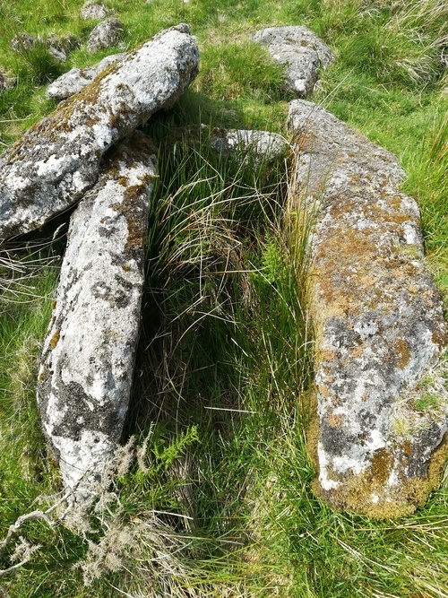 Click for full size image of Blackabrook (PID:230460) Blackabrook