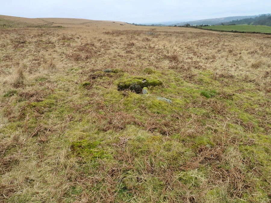 Gutter Tor north
