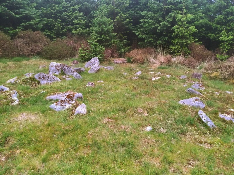 Click for full size image of Fernworthy settlement (PID:230359) Fernworthy settlement